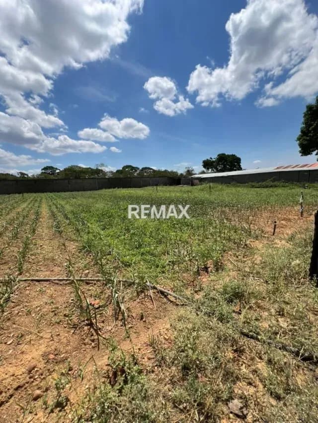 Casa Granja en Venta Cordero Zona Norte - Barquisimeto