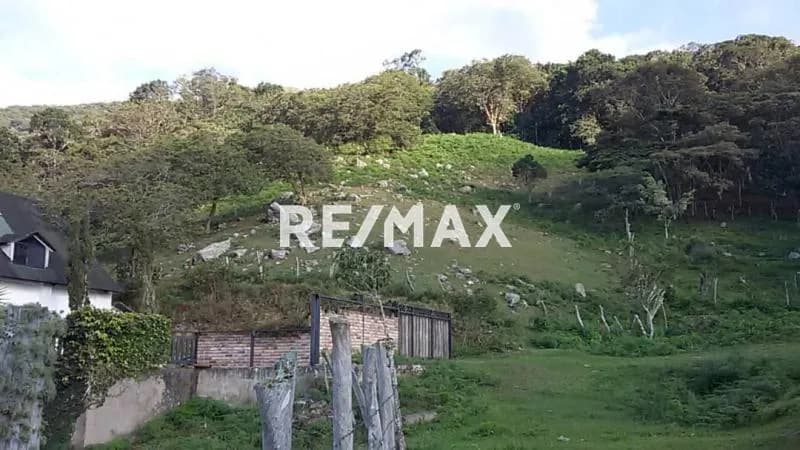 SE VENDE TERRENO EN LA CURIACHA, VIA BOROTA
