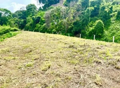 Se Vende Terreno 2000m2 En Cerro Verde