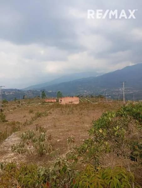 en venta 103 Parcelas ubicadas en el junco # 41