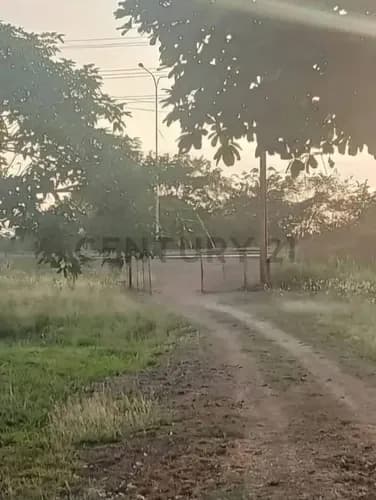 Venta De Finca