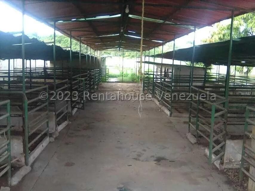 Terreno (Comercial) en Venta en Santa Lucia, Miranda