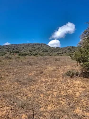 Perla Dorada Real Estate Ofrece Un Espectacular Terreno De 5.028 M2, En Antolín Del Campo, A Solo Metros De Playa El Agua Y Playa Parguito. En Frente De La Conocida Hacienda Ají Dulce.