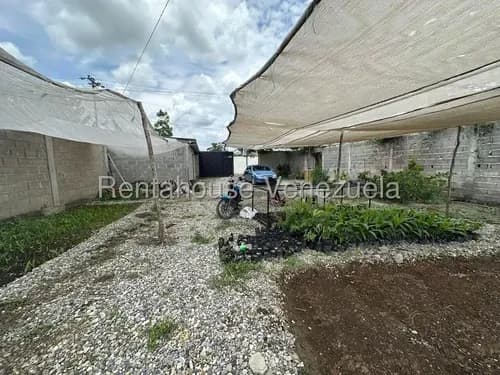 # 26-18675 Venta Parcela Productiva De 2,000 M2 Con Sistema De Riego Automatizado Urb El Placer Cabudare,lara Aa