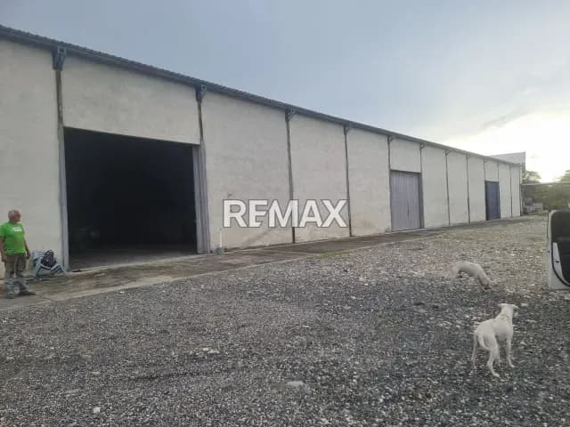 EN ALQUILER AMPLIO GALPÓN UBICADO EN CHORO GONZALERO MUNICIPIO ESTELLER PORTUGUESA