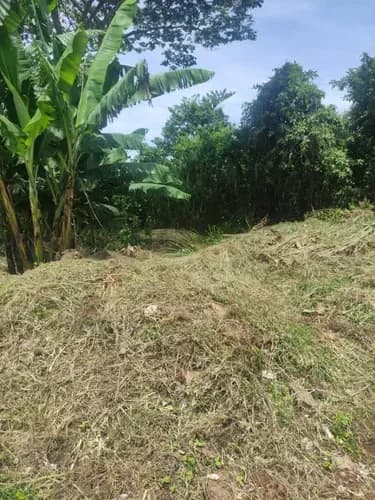 Terreno En Venta Sector Cueva Del Oso Ms