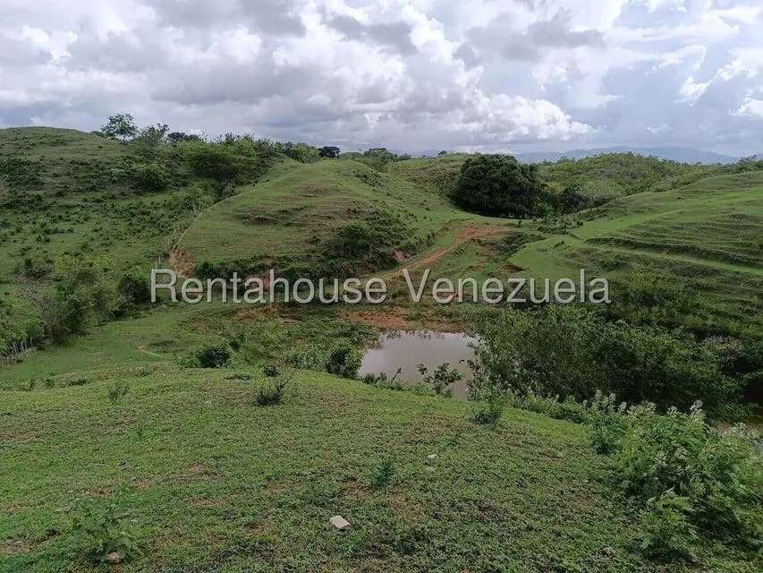 Terreno (Finca) en Venta en Tinaquillo, Cojedes