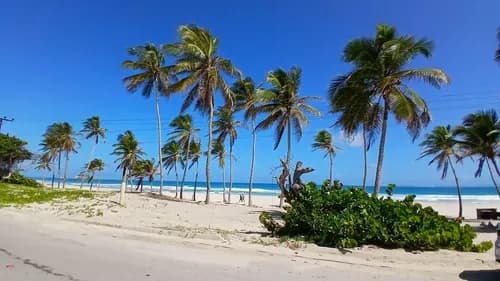 Atencion Inversionistas!! Fabuloso Terreno Plano En El Boulevard De Playa El Agua. Al Cruzar La Calle Ya Estas En La Playa
