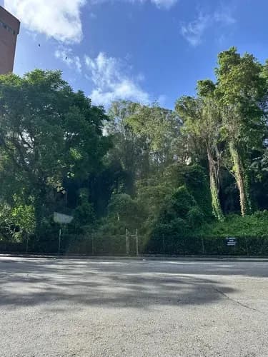 Estupendo Terreno En Los Naranjos