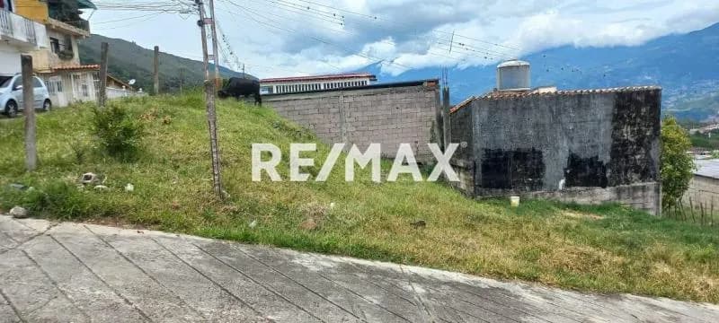 Terreno. Venta. Palmira