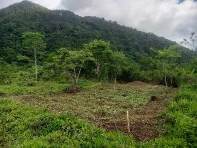 Venta parcela en la rotaria Urba el Bosque