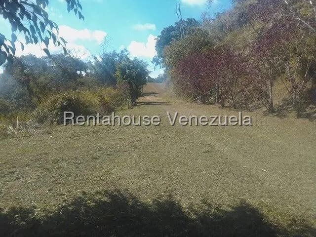 Terreno (Comercial) en Venta en Gavilan, Distrito Metropolitano