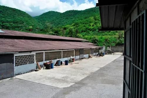 Galpón Comercial En Venta Listo Para Operar En Mampote, 13567.14m2, Baños, Comedor, Oficinas, Vigilancia, Mls #26-1329 Bm