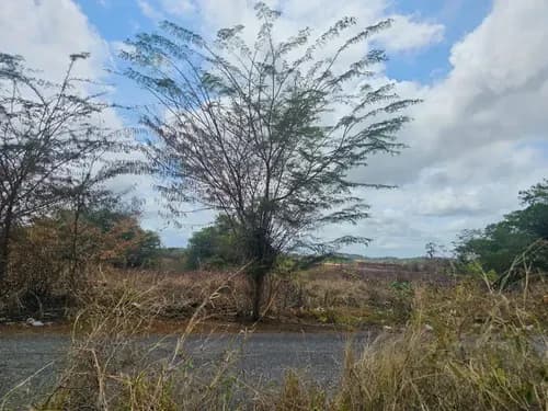 Terreno Residencial Comercial!!