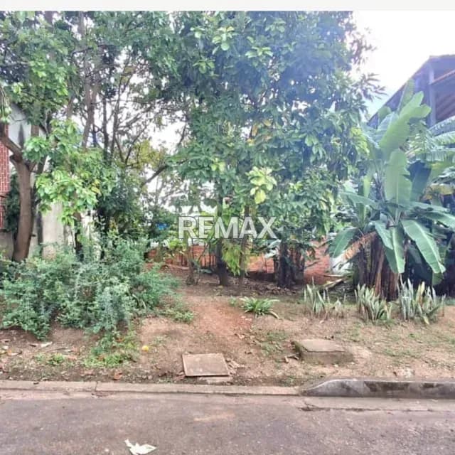 SE VENDE TERRENO EN PALO GORDO