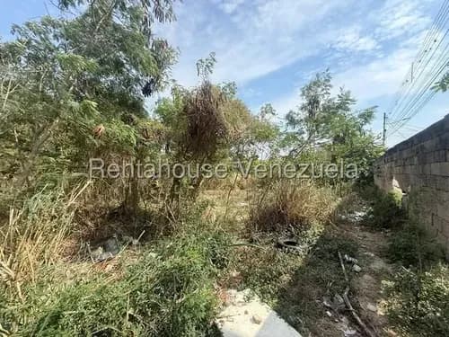 Ammp En Venta Terreno Residencial En San Diego