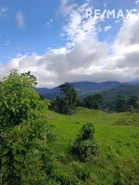 Finca en venta, ubicada en la petrolea