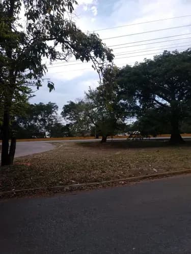 Se Vende Amplio Terreno Cerca De La Encrucijada De Palo Negro, 007jsc