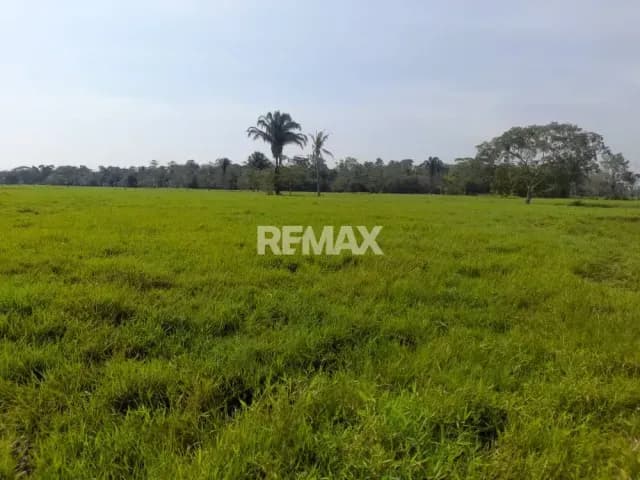 SE VENDE FINCA EN SAN JOAQUIN DE NAVAY