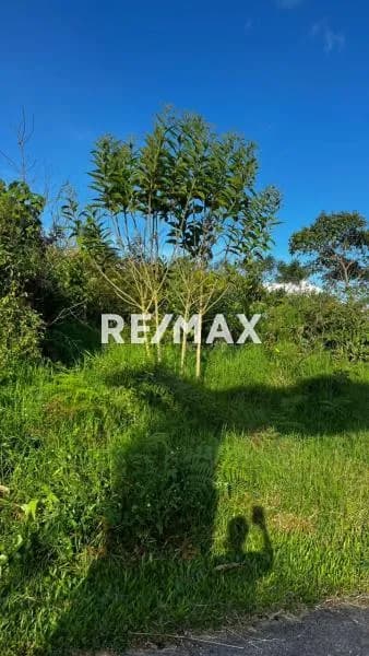 EN VENTA Lote de terreno con un área de 176 m2 Sábana larga