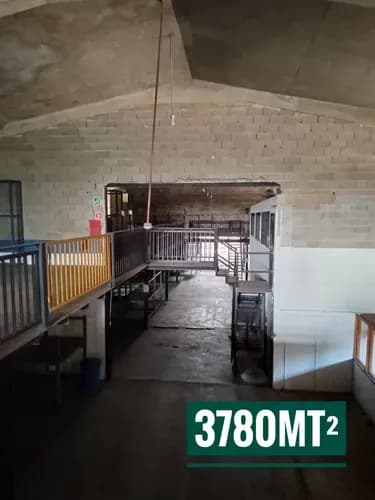 En Alquiler Galpón Ubicado En Una Calle De Alto Tráfico, A Pocos Metros De Reconocidas Empresas Como Profamilia Y Detrás De La Polar, Garantiza Una Excelente Visibilidad Y Accesibilidad.