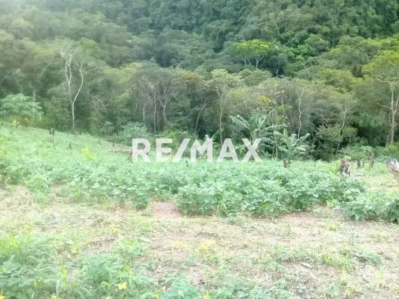 Terreno en Venta Caserio El Bonito Moroturo - Municipio Urdaneta