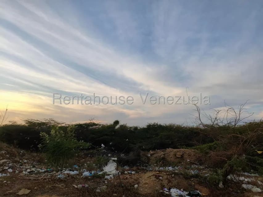 Terreno (Residencial) en Venta en Punto Fijo, Falcon