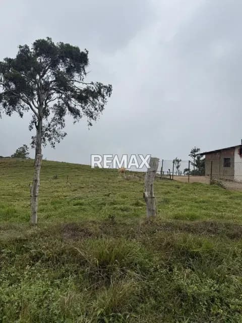 VENTA DE PARCELA 1 POTRERO DE LAS CASAS CASA DEL PADRE