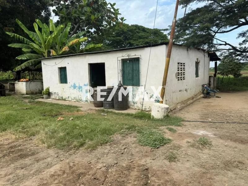 Se vende Finca ubicada en el canal principal del CENIZO