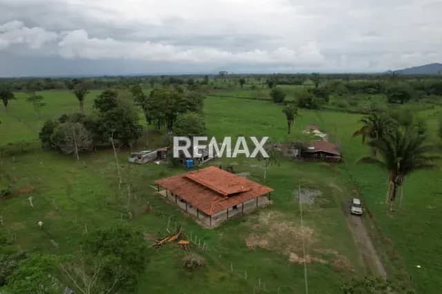 FINCA EN VENTA LAS PALMERAS
