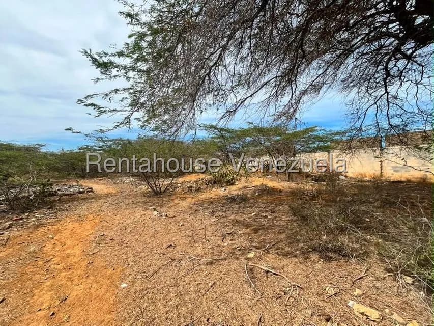 Terreno (Comercial) en Venta en Santa Elena, Falcon