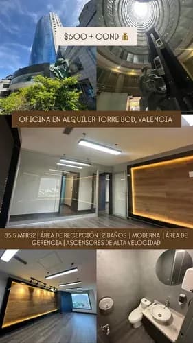 Inmobiliaria Global Alquila Exclusiva Oficina En Torre Bod - Valencia