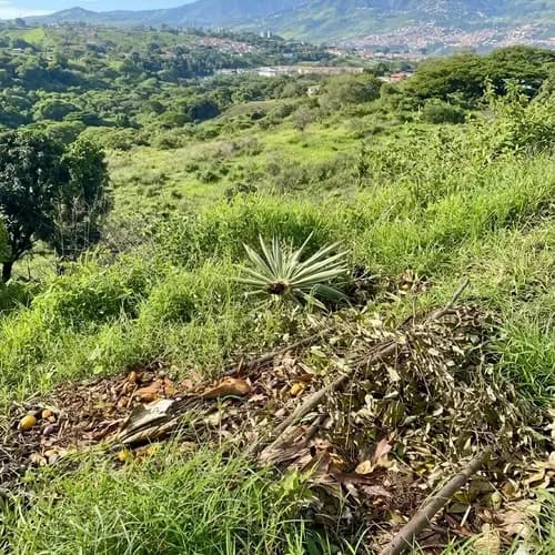 Parcela En Venta En Palo Gordo Sector Gallardin San Cristóbal /im
