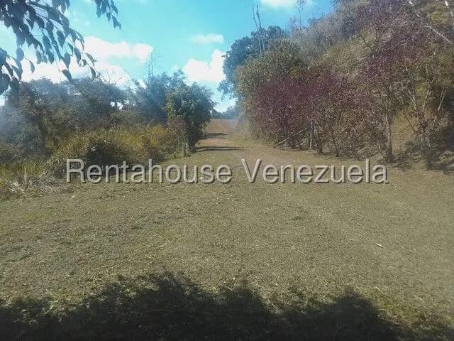 Terreno (Comercial) en Venta en Gavilan, Distrito Metropolitano