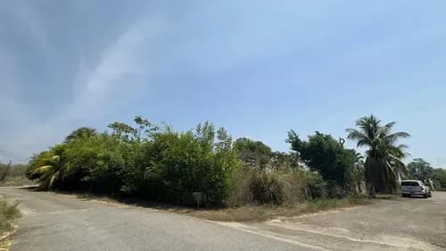 Safari Carabobo Sector Casa Miel Parcela En Venta Con Pequeña Casa Y Caney. Tocuyito