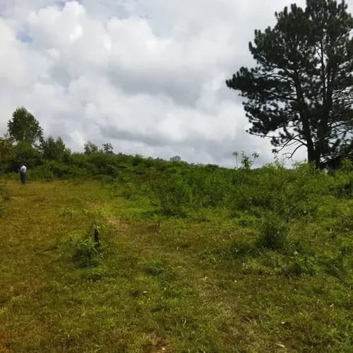 Terreno En Venta San Antonio De Los Altos