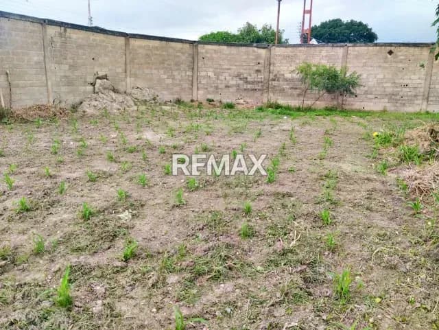 Terreno Industrial en San Vicente II