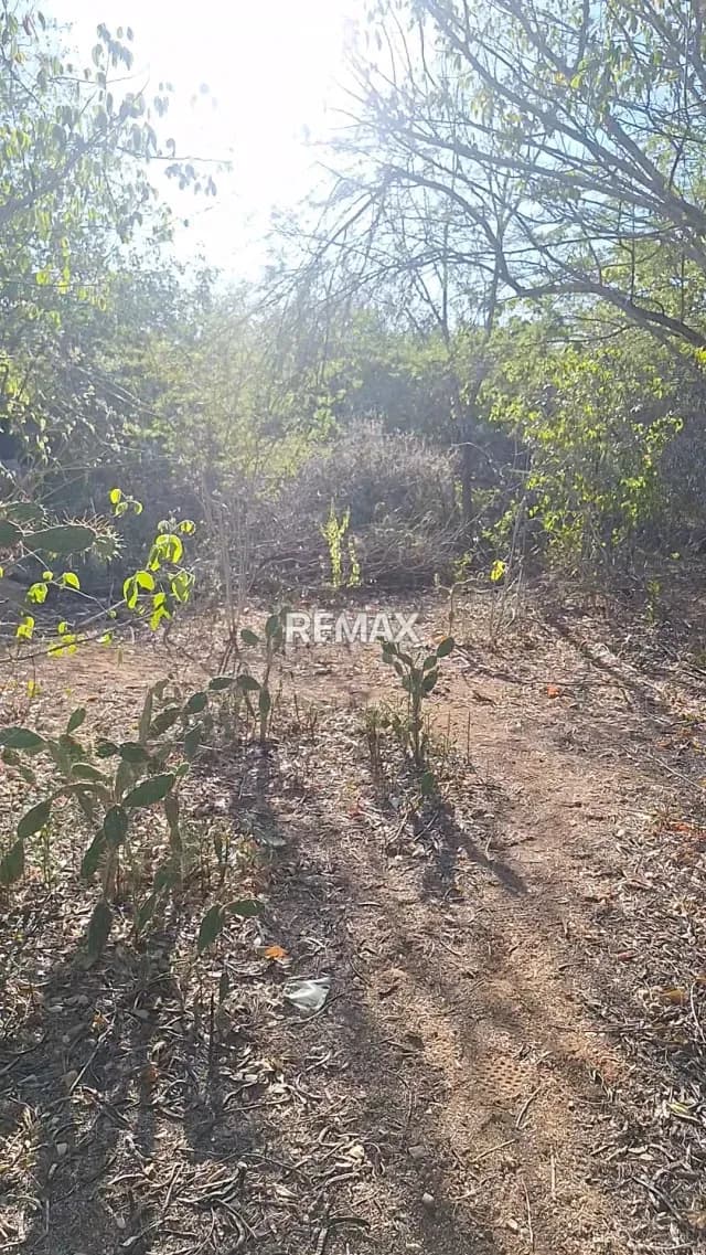 Gran lote de terreno de 44.142m2 ubicado en la Isla de Margarita La Vecindad