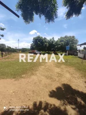 Granja porcina para 5000 cerdos Trujillo