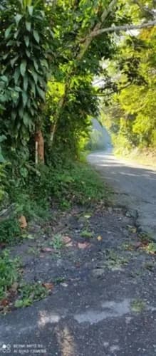 Venta Terreno En Vía Choroní Aragua Sector Tremaria Privado