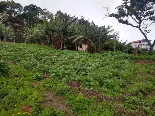 Terreno Residencial Y Agrícola | 1.850m2 | Km 18 El Junquito