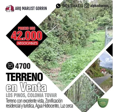 Terrenos Para Proyecto Turistico En La Colonia Tovar Sector Los Pinos