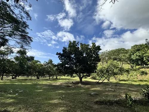 Terreno Multifuncional En Venta En Guacara, Sector Vigirima - Se Vende Por Documento Privado Atmlf