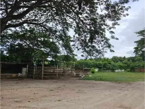En Venta Terreno Ubicado En La Av. Aragua A Nivel De Avenida. Mcy.