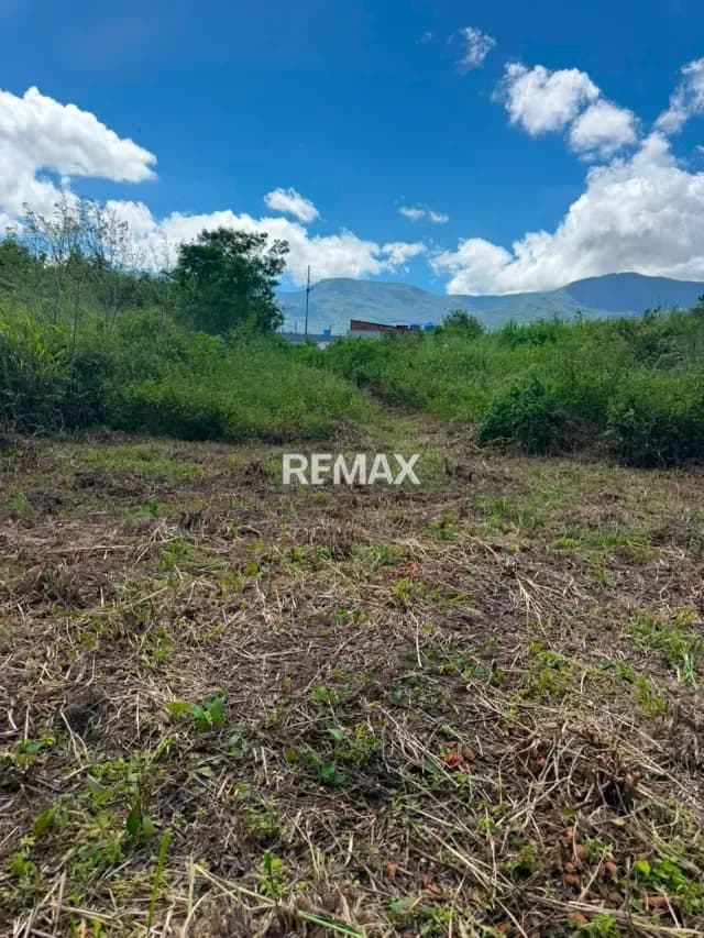 TERRENO EN PALO GORDO EN VENTA