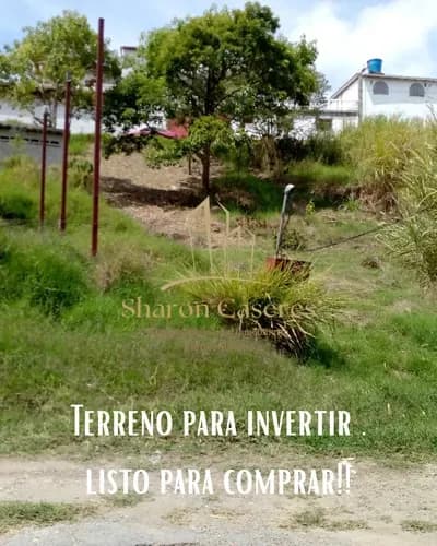 Terreno En Venta Los Teques, San Pedro De Los Altos