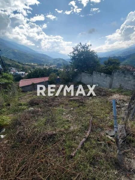 TERRENO EN VENTA LA JOYA