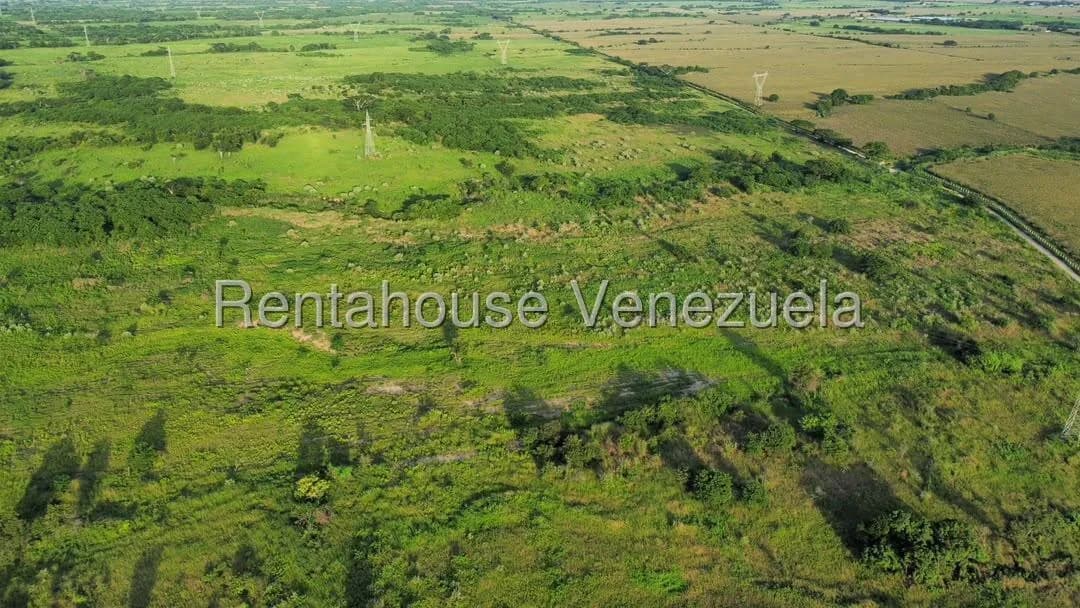 Terreno (Comercial) en Venta en Municipio Peña, Yaracuy