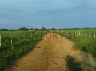 Se vende finca productiva con 188 hectareas con agua abundante,maquinarias