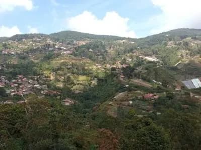Terreno en venta en la Colonia Tovar